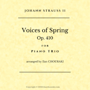 Cover - Voices of Spring Piano Trio